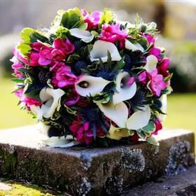 fwthumb2015-11-25 09.05.54.jpg